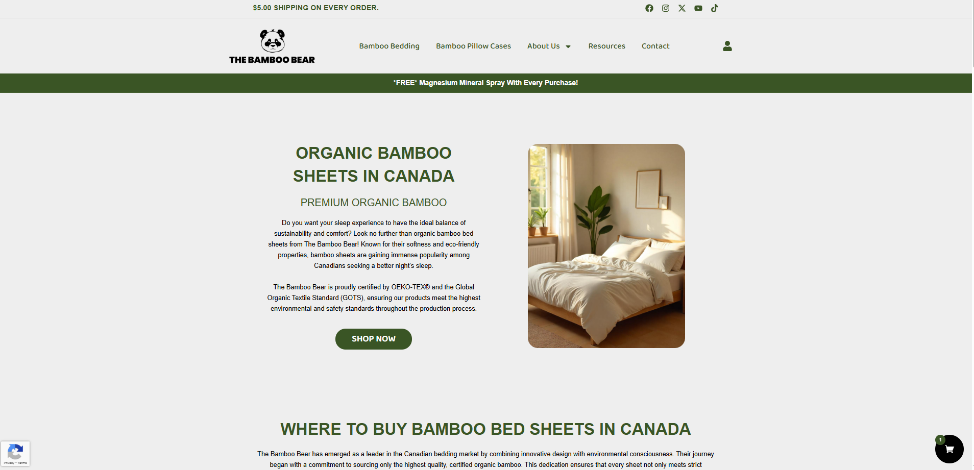 Web Design E-Commerce Store