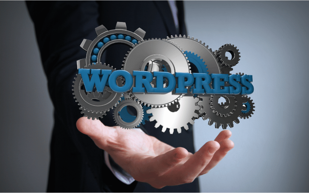 Website Developer WordPress